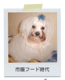 涙焼け改善 Before