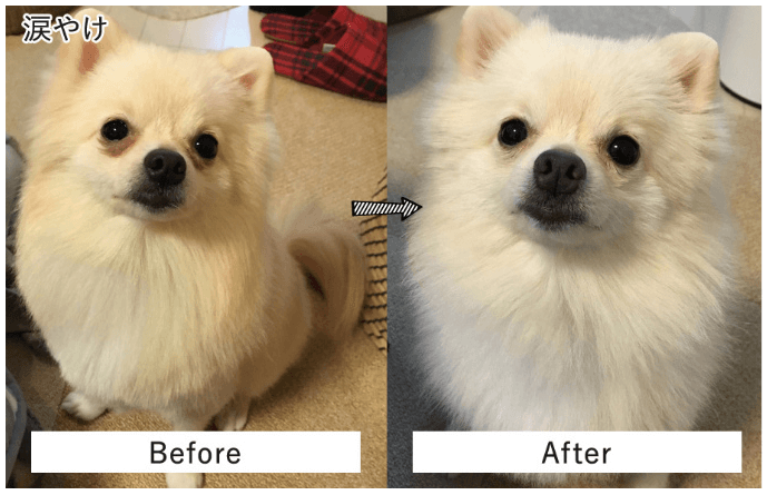 涙焼け改善 Before&After
