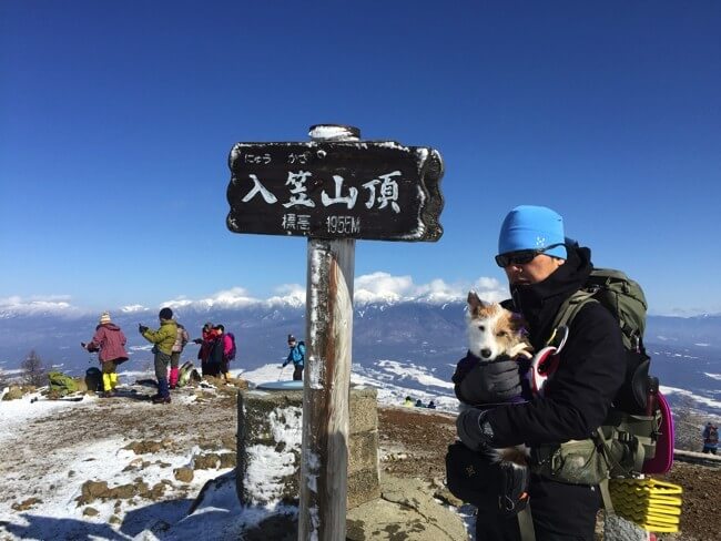 犬連れスキーの楽しみ方